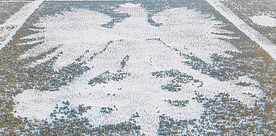 Parchowski leśny ORZEŁ zimowy, a więc w końcu BIAŁY. Nagrali FILM