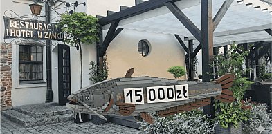 PROMOCJA! Burmistrz obniża czynsz za zamek do 15 000 zł