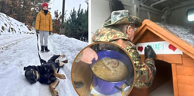 Bytowskie SERCA kontra "biznes na psach". U nas futrzaki mają RAH, gdy inni liczą