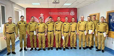 Deszcz awansów i nagród u strażaków. Kto pnie się w górę?