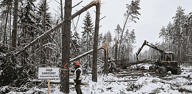 WODY I LASY POD KONTROLĄ. Raport bytowskiego starostwa