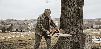 Niebezpieczna wycinka w Nakli. Akcja służb i policyjne dochodzenie