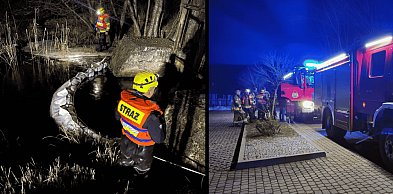 Plama ropy na Kamienicy w Tuchomiu. Strażacy rozstawili zapory na rzece