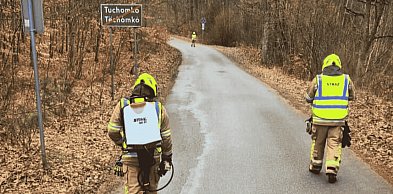 Plama ropopochodna na krajowej „dwudziestce”. Strażacy wyjeżdżali DWA RAZY