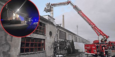 Pożar w tartaku w Kołczygłowach. Ogień objął halę, straty to nawet 200 tys. zł