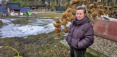 Kilka tragedii pod jednym dachem w Niezabyszewie