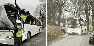 Śmieciarka przy wypadku. Pracownicy Elwoz Eco RATOWALI kierowcę autobusu
