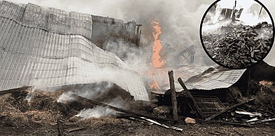 POŻAR stodoły w Bochowie. Ogień objął cały budynek, w środku zwierzęta