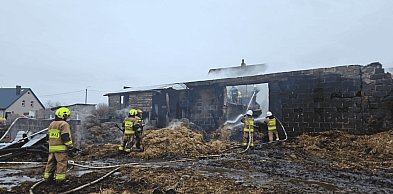 Bochowo walczyło z ogniem przez całą noc. Uratowano 17 sztuk bydła
