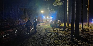 POŻAR LASU pod Sylcznem. W akcji samoloty i dziesiątki strażaków [RAPORT]