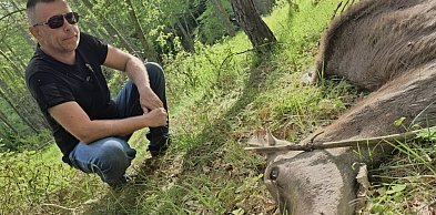 Dziecko łani płakało za matką. W Soszycy narasta spór o rezerwat i… WILKI