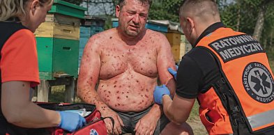 Pszczoły zaatakowały 38-latka. Na karetkę czekał kilkadziesiąt minut