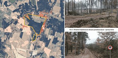 Las zniknie, wjedzie ciężki sprzęt. Jest ZGODA na wielką kopalnię kruszywa