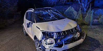 Wracamy do dachowania w Zagonach. 64-latka miała TRZY PROMILE w organizmie!-22007