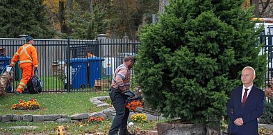 DAJ CHOINKĘ NA RYNEK! - apeluje burmistrz Bytowa-22158