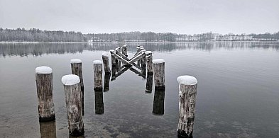 JELEŃ BEZ POMOSTU. Na pewno nie w 2026 roku-22374