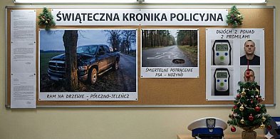 Świąteczna KRONIKA POLICYJNA. Rozbity DODGE RAM i ŚMIERTELNE POTRĄCENIE PSA-22528