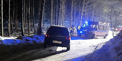 SOMINY. Leśny rajd po wolność zakończony na pniu-22841