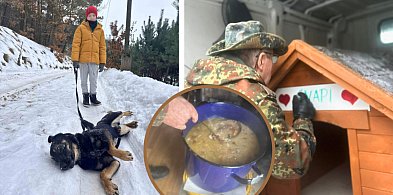 Bytowskie SERCA kontra "biznes na psach". U nas futrzaki mają RAJ, gdy inni liczą