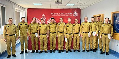 Deszcz awansów i nagród u strażaków. Kto pnie się w górę?