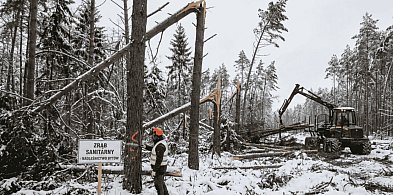 WODY I LASY POD KONTROLĄ. Raport bytowskiego starostwa