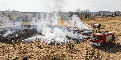 Pożar trawy w Grądzieniu. Strażacy ruszyli do akcji