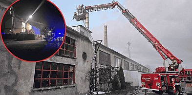Pożar w tartaku w Kołczygłowach. Ogień objął halę, straty to nawet 200 tys. zł