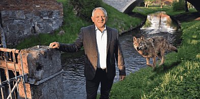 WALCZĄCY Z WILKAMI. Powiat bytowski chce zmian w ochronie gatunku