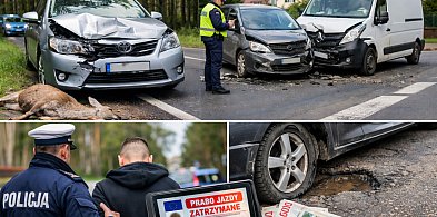 Nerwowe dni na drogach. Kolizje, wysoki mandat i finał w sądzie