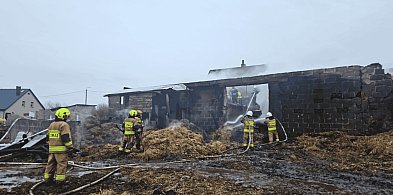 Bochowo walczyło z ogniem przez całą noc. Uratowano 17 sztuk bydła