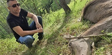 Dziecko łani płakało za matką. W Soszycy narasta spór o rezerwat i… WILKI
