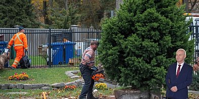 DAJ CHOINKĘ NA RYNEK! - apeluje burmistrz Bytowa-22158