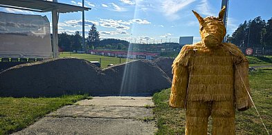 MIŚ bytowski. Stadionowe ABSURDY. ZAKAZ picia-22246