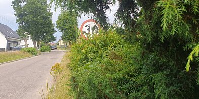 Gostkowo wciąż bez nazw ulic. Sołtys ODSYŁA do urzędu-22278