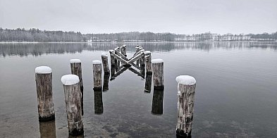 JELEŃ BEZ POMOSTU. Na pewno nie w 2026 roku-22374