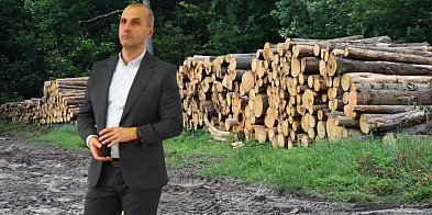 PARADOKS w zalesionym powiecie. Brakuje chętnych-22449