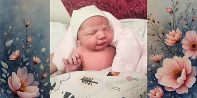 Kościerzyna w dowodzie, Bytów w sercu. Antonina-22663