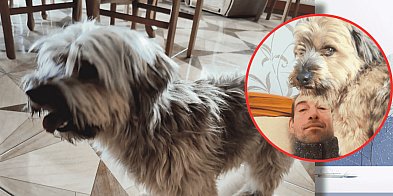 WRÓĆ PRZYJACIELU! Piotr Szulist poszukuje Pikusia