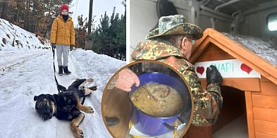 Bytowskie SERCA kontra "biznes na psach"