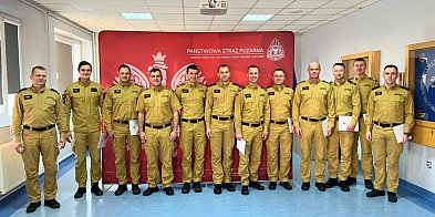 Deszcz awansów i nagród u strażaków