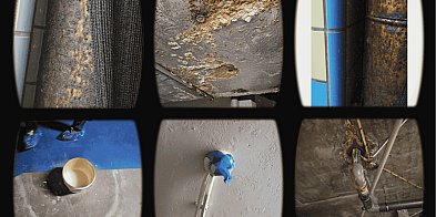 NIMFA to… PUSZKA PANDORY? Radni zbulwersowani