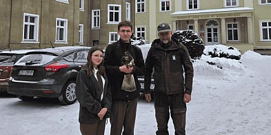 Niespodziewany gość w wolierze. Myszołów z Borowego