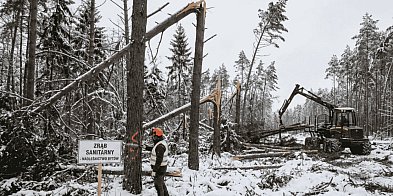 WODY I LASY POD KONTROLĄ. Raport bytowskiego starostwa
