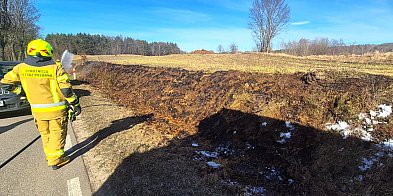Wiosenne słońce budzi przyrodę i… bezmyślność