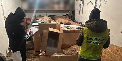 Nielegalny tytoń. 51-latek z Miastka z zarzutami!