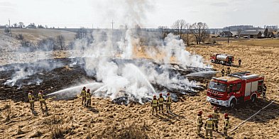 Pożar trawy w Grądzieniu. Strażacy ruszyli do akcji