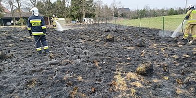 Seria pożarów traw w pow. bytowskim. APEL STRAŻY!