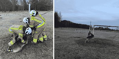 Alkohol, wypadki i policyjne interwencje