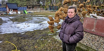 Kilka tragedii pod jednym dachem w Niezabyszewie