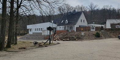 Drzewa jak bomby z opóźnionym zapłonem?